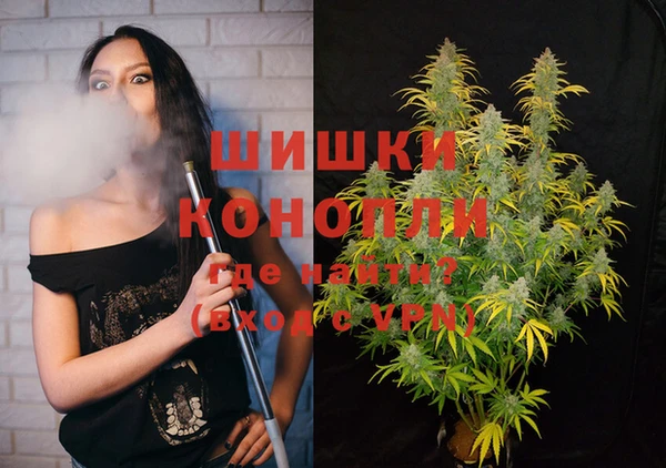 гидра Верея