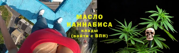 гидра Верея