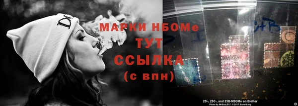 гидра Верея
