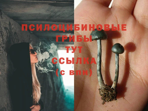 гидра Верея