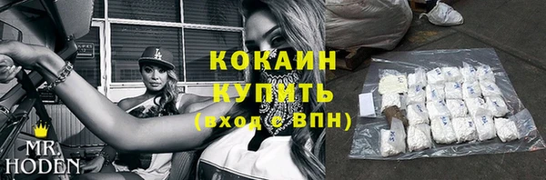 гидра Верея