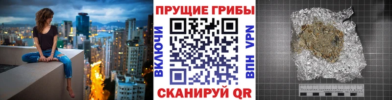 Псилоцибиновые грибы Psilocybine cubensis  Волгодонск 